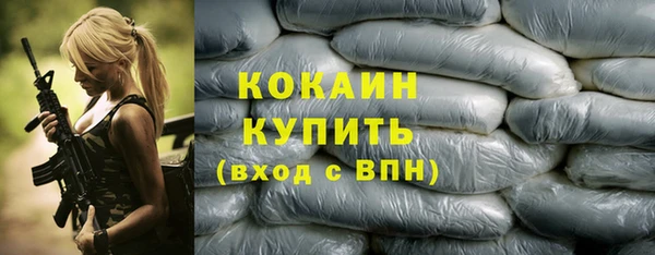 прущий лед Алзамай